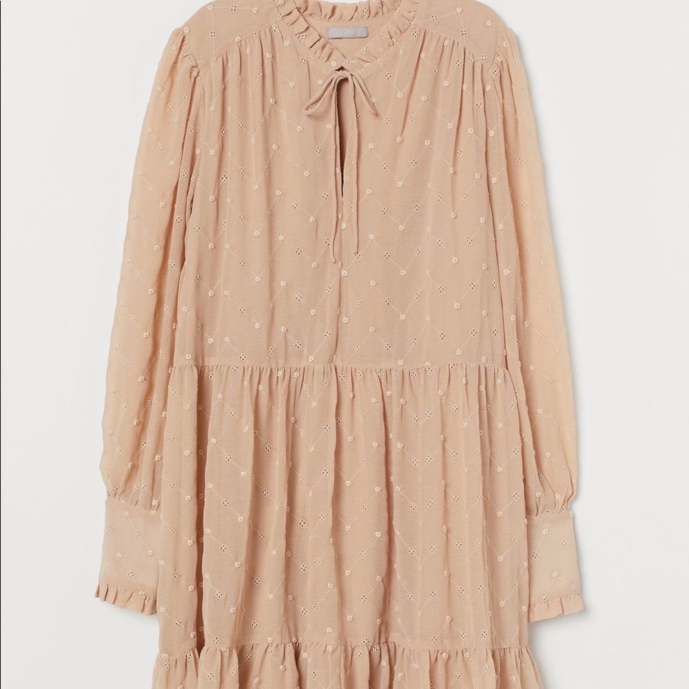 H&M Embroidered Dress in Light Beige